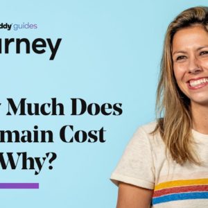 How Much Does a Domain Cost - And Why? | The Journey